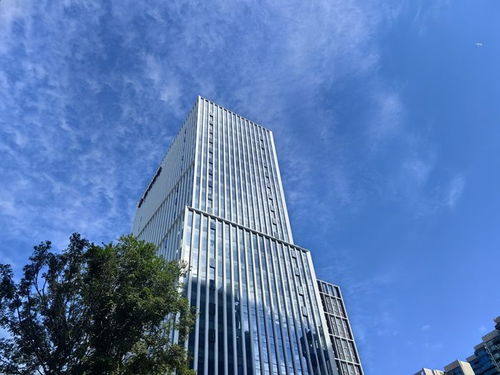 無機復合聚苯不燃保溫裝飾板50mm厚技術(shù)開發(fā)與應用前景